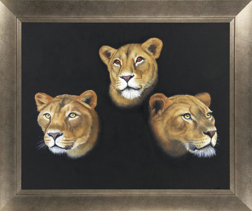 Three Lions By Peter Annable - Framed Art