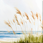 Beach Pampas By Isabelle Z - Canvas Print