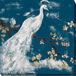 White Peacock On Indigo I By Jennifer Goldberger - Canvas Print