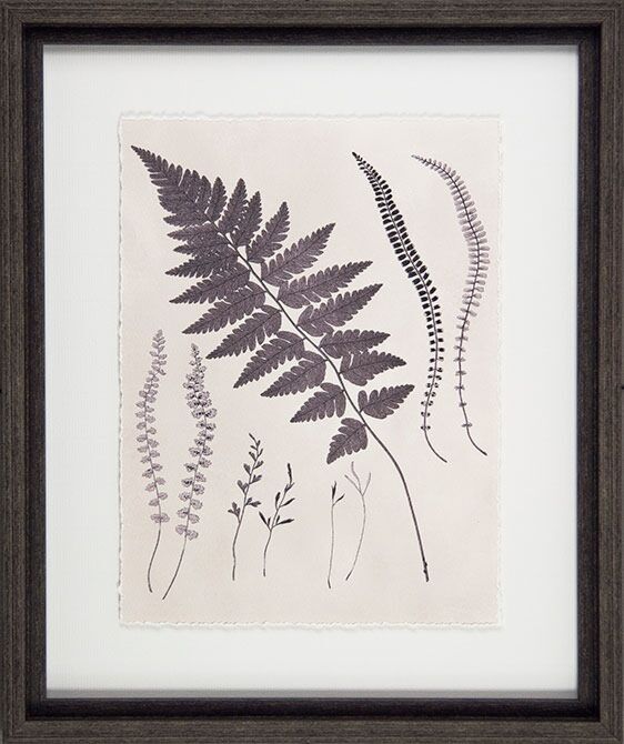 Vintage Fern Study Ii