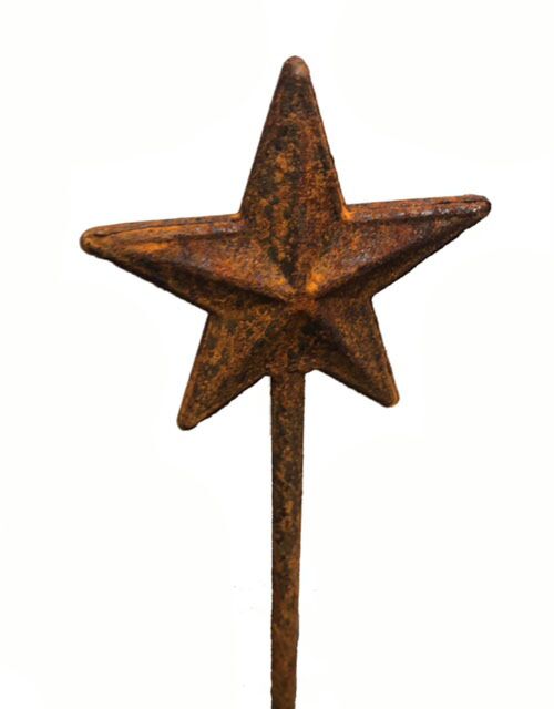Star 4ft Plant Pin Bare Metal/ready To Rust