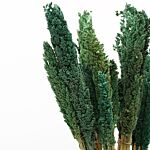 Cantal Grass Bunch - Teal