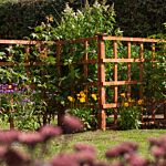 6 X 1 Heavy Duty Trellis - Dip Treated