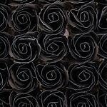 Craft Soap Flowers - Med Rose - Black With White Rim - Pack Of 10