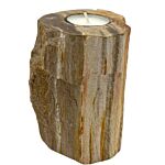 Petrified Wood Candle Holder - Single Tall