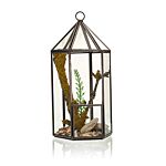 Glass Terrarium - Lantern Shape