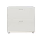 Lido 2 Door Shoe Cabinet