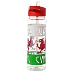 Reusable Welsh Dragon Wales Cymru 550ml Water Bottle With Flip Straw
