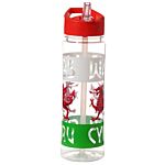 Reusable Welsh Dragon Wales Cymru 550ml Water Bottle With Flip Straw