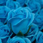 Craft Soap Flowers - Med Rose - Sky Blue - Pack Of 10