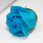 Craft Soap Flowers - Med Rose - Sky Blue - Pack Of 10