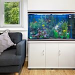 Aquarium Fish Tank & Cabinet - White