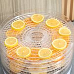 Homcom 5 Tier Food Dehydrator, 245w Food Dryer Machine With Adjustable Temperature Control For Drying Fruit, Meat, Vegetable, Jerky And Pet Treat