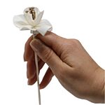 Natural Diffuser Flowers - Lily On Reed - Pack Of 12