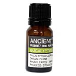 10ml Eucalyptus Essential Oil