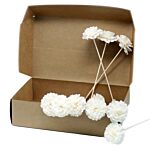 Natural Diffuser Flowers - Carnation On Reed - Pack Of 12