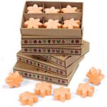 Box Of 6 Wax Melts - Mango Fruits