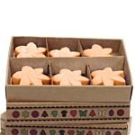 Box Of 6 Wax Melts - Mango Fruits