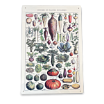 Vintage Metal Sign - Vintage Botanical Kitchen Vegetables Sign