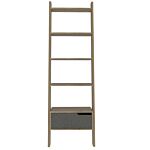 Manhattan Ladder Bookcase/display Unit