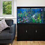 Aquarium Fish Tank & Cabinet With Complete Starter Kit - Black Tank & Black Gravel