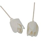 Natural Diffuser Flowers - Tulip On Reed - Pack Of 12