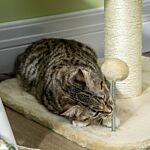 Pawhut 51cm Cat Tree, Kitty Activity Center, Cat Climbing Toy, Cat Tower With Cattail Bed Ball Toy Sisal Scratching Post, Beige