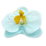 Craft Soap Flower - Paeonia - Blue - Pack Of 10