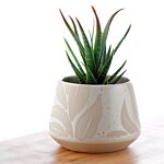 Decorative Stoneware Indoor Freestanding Planter/small Plant Pot - Florens Hesperantha Cream Glaze Relief