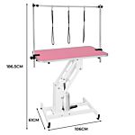 White Hydraulic Grooming Table - Pink Table Top