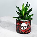 Skulls & Roses Ceramic Indoor Plant Pot - Small