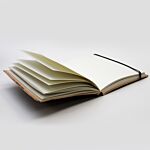 Medium Notebook With Strap - Palmistry