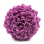 Craft Soap Flower - Small Chrysanthemum - Purple - Pack Of 10