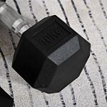 Homcom Hex Dumbbells Set Rubber Dumbbells Weight Lifting Equipment Fitness Home Gym