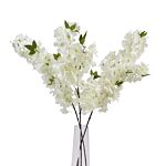 Large White Full Cherry Blossom Stem