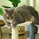 Pawhut 118.5cm Cat Tree For Indoor Cats, Cat Tower With Scratching Posts, Mats, Hammock, Cat Bed, Ball Toy, Grey Blue