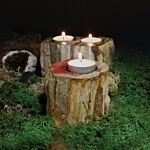 Petrified Wood Candle Holder - Single Low