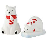 Novelty Ceramic Salt And Pepper - Polar Bear