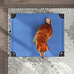 Pawhut Elevated Pet Bed Portable Camping Raised Dog Bed W/ Metal Frame Blue (medium)