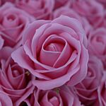 Craft Soap Flowers - Med Rose - Blush - Pack Of 10