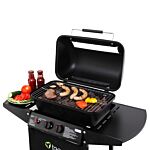 Irvine Lava Stone Gas Bbq Grill