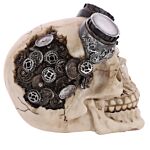 Gothic Steam Punk Skull Decoration With Goggles