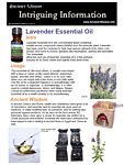 Peppermint Essential Oil Info