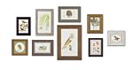 The Woodland Collection - Framed Art