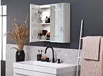 Bathroom Mirror Cabinet Silver Plywood 60 X 60 Cm Hanging 2 Door Cabinet With Led Strip Lights Beliani