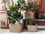 Set Of 3 Plant Pots Natural Seagrass 23 X 34/ 27 X 36/ 30 X 45 Cm Home Accessory Planter Boho Style Beliani