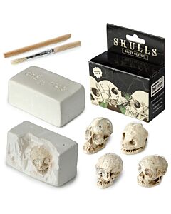 Fun Excavation Dig It Out Kit - Human Skull