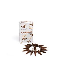 Cinnamon Cones