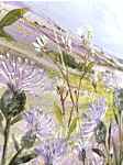 Lilac Thistle Field By Diane Demirci - Wrapped Canvas