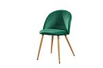 Venice Dining Chairs Green (pk 2)